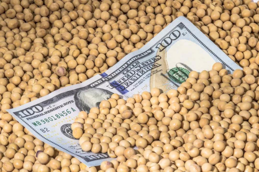 垄断中国90%粮食种子市场！美国若发动粮食战争，我们还有饭吃吗