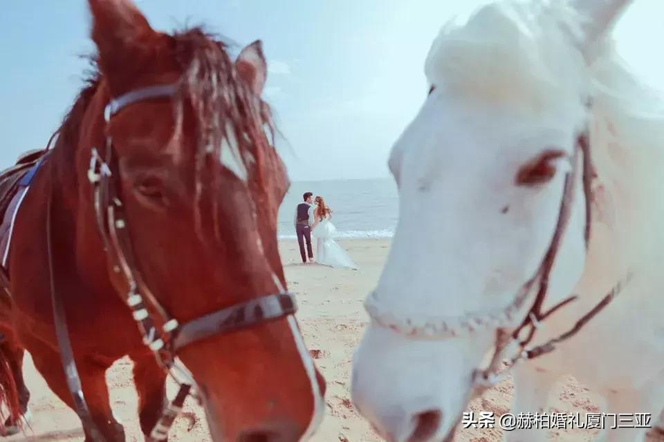 厦门拍的婚纱照大概多少钱,厦门黄厝婚纱照