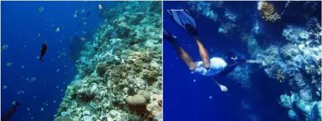 帕劳和斐济哪个好玩一点,帕劳vs斐济