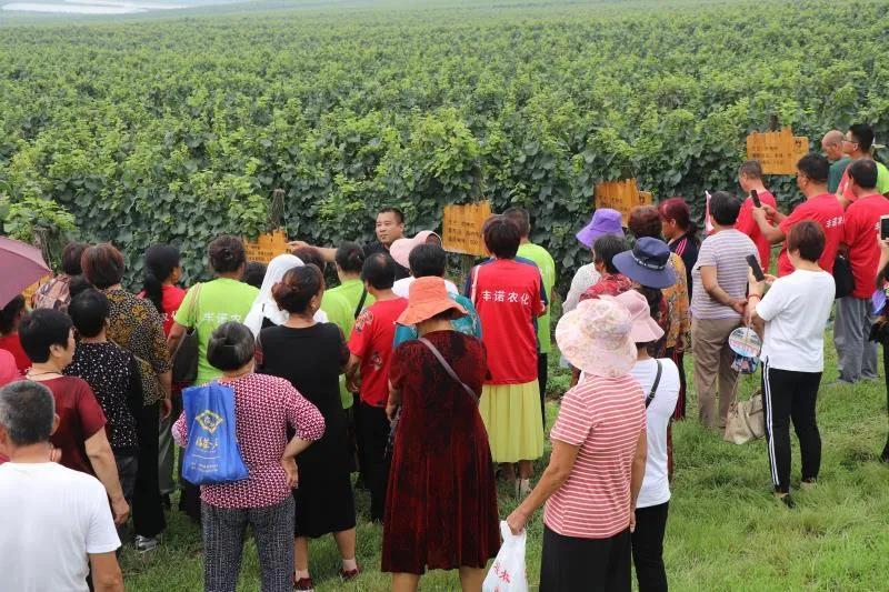 「喜讯」丰诺农化有限公司成功入选山东省2020年农业社会化服务组织典型案例