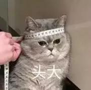 如果不想下载游戏了该怎么办,不用下载就可以使用软件的网站