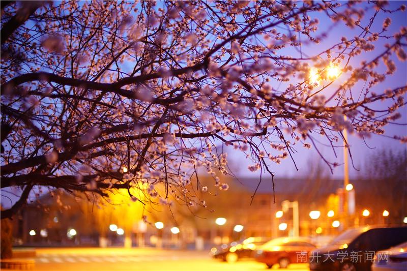 天津推荐网红打卡地滨江道,就在这里天津惊现全新网红打卡地