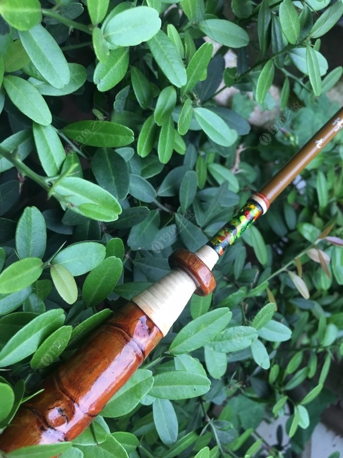 罗汉竹竿,罗汉竹和什么搭配好看