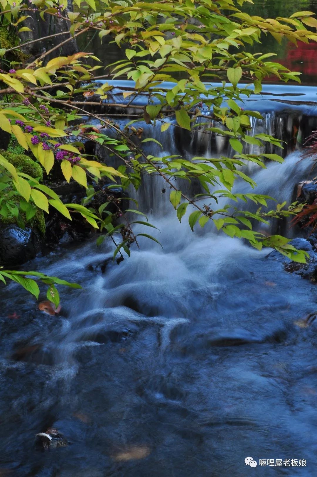 京都和大阪地理位置,京都奈良大阪位置