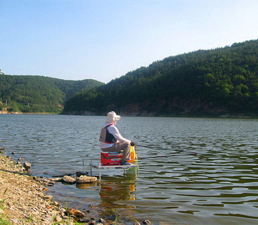 白条闹窝最佳解决方法,白条闹窝怎么解决