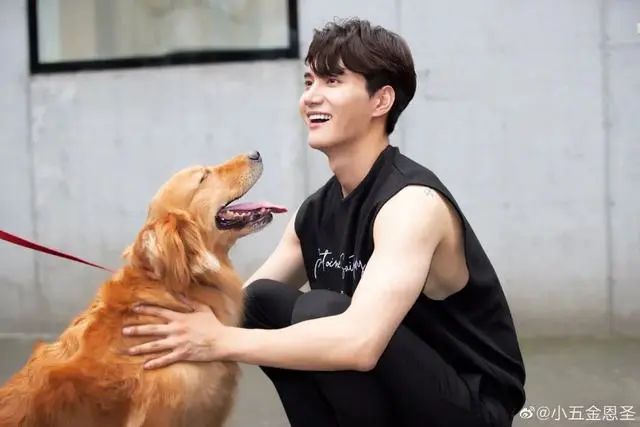 19岁大红却自毁名声,整容、当小三还撕原配太嚣张