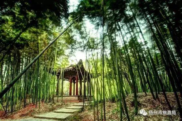 扬州冬天的感觉,有一种冬天叫做哈尔滨