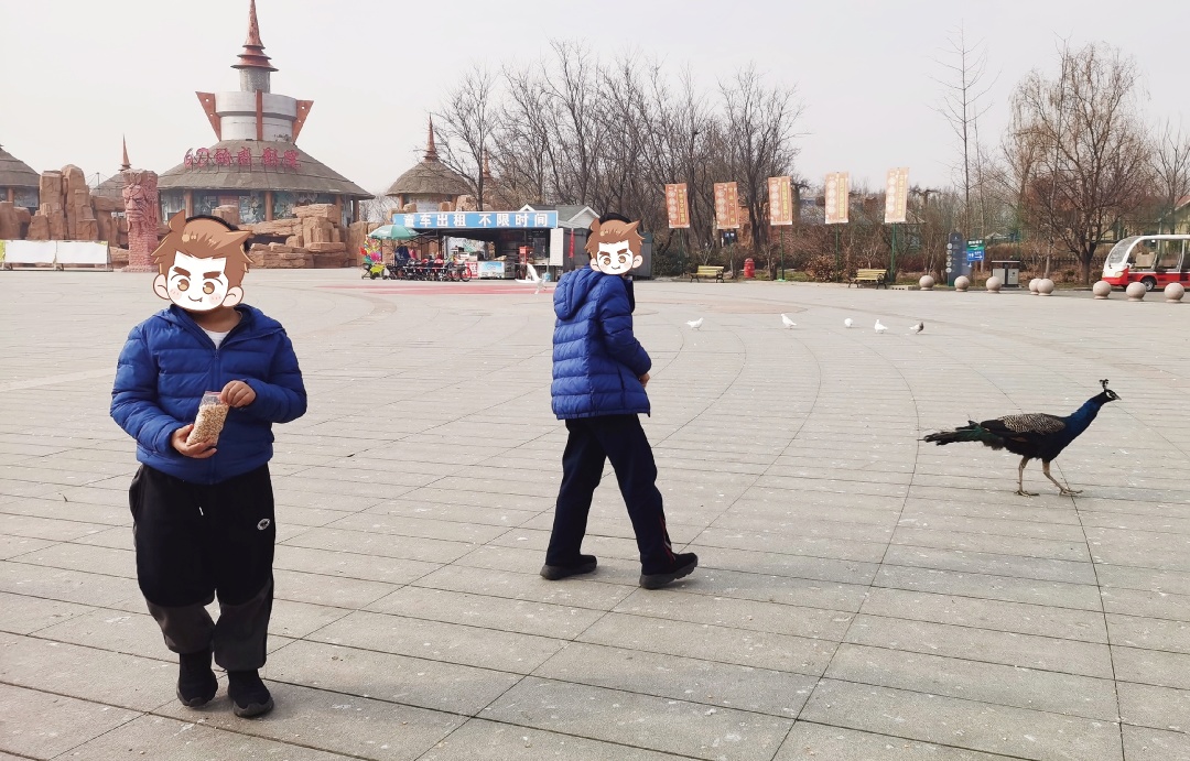 最便宜的十种好物,网购必买的好物