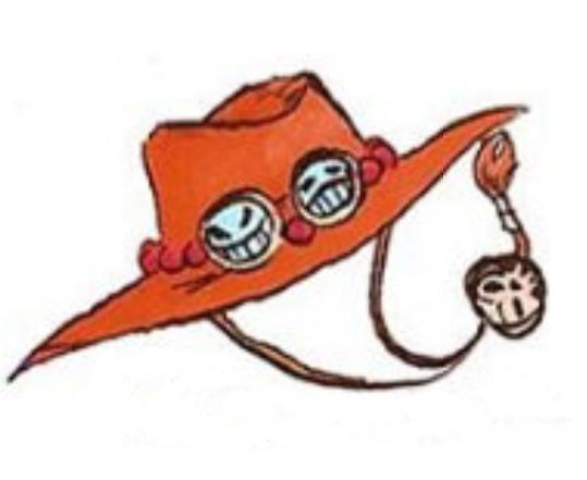 海贼王中出现的帽子,海贼王燃烧意志等级可以继承吗