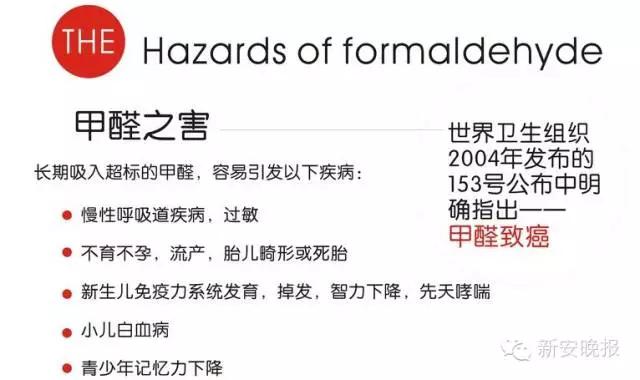 仿瓷碗对人体的危害,仿瓷碗用多久会引起白血病