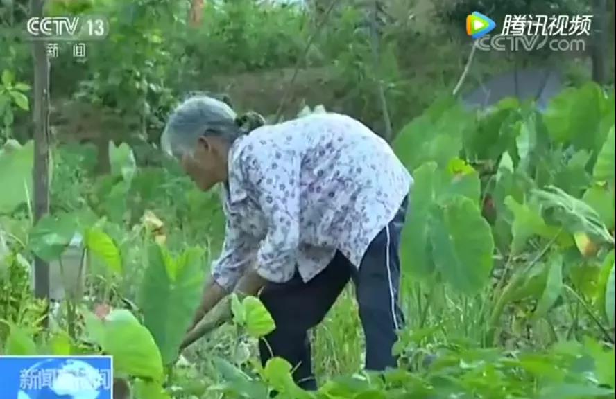 40万以上老宅改造,40万改造农村老房