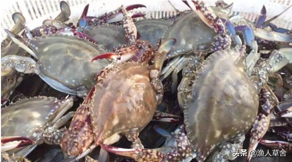 烟台十大农产品,烟台具有特色的农产品