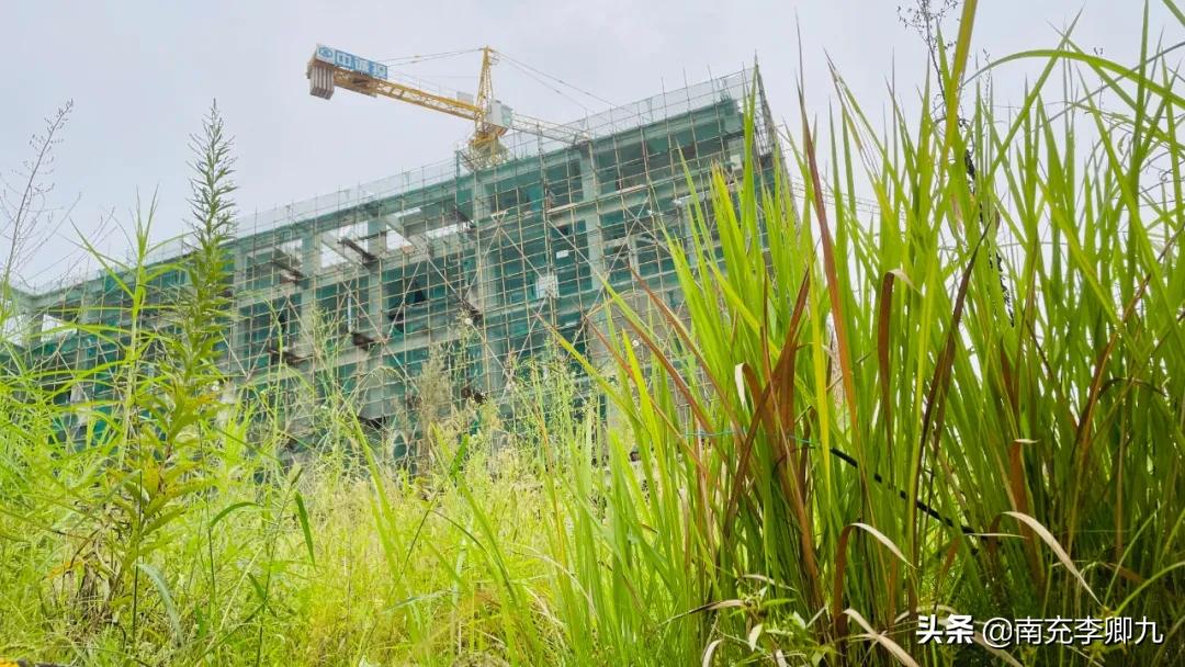 南充新医院建设最新动态,南充市三医院最新工程进度