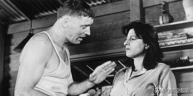 获得奥斯卡最佳导演最多的导演,获得奥斯卡最佳导演是