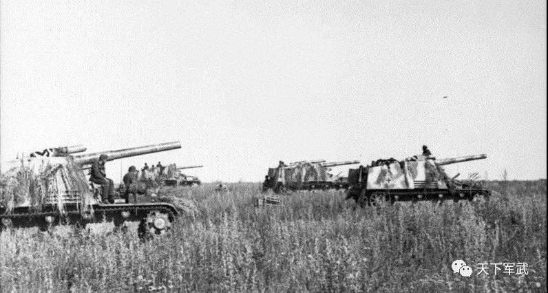 D系丨竟因火力过剩遭到自己人嫌弃？！看来我兔的病有治了！