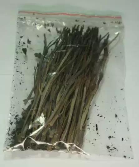 禁毒拒毒知识,十大禁毒知识大全