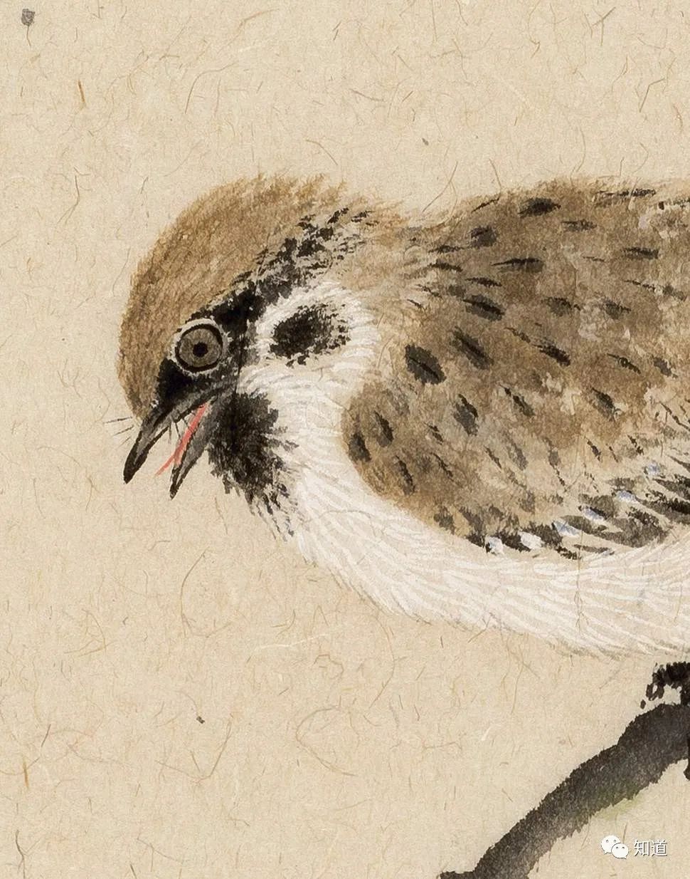 春天的脚步近了好像一切都醒来了,春天的脚步已经悄然而至