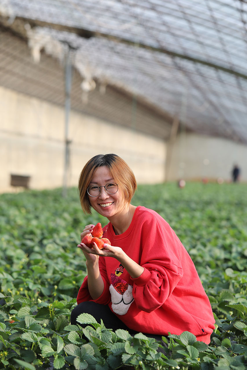 大连最好的草莓节,2023草莓音乐节大连