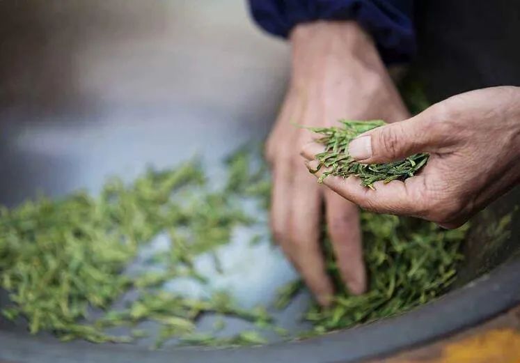 杭州名菜龙井茶叶虾仁,中国名菜龙井虾仁传说