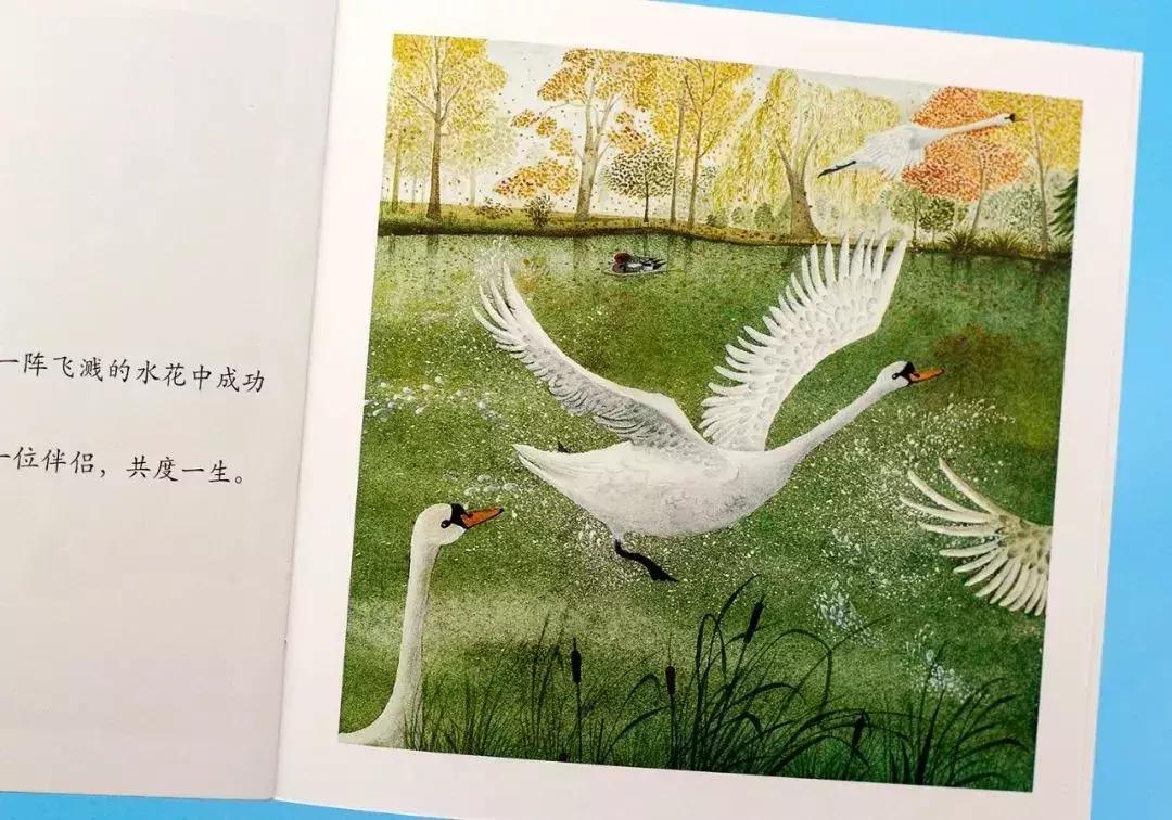 意大利畅销童书,意大利绘本世界十大著名童话