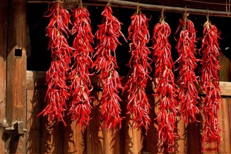 泰州这位公务员的“高考作文”,悟出了基层干部的五味调和