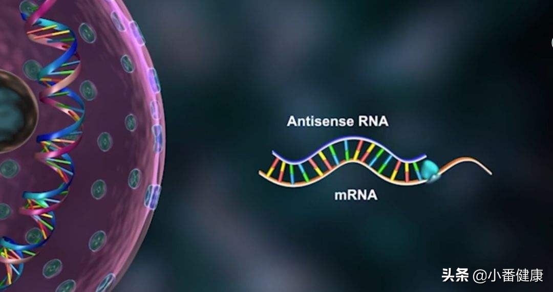 2021乙肝在研新药临床,2019乙肝在研新药进展及成果