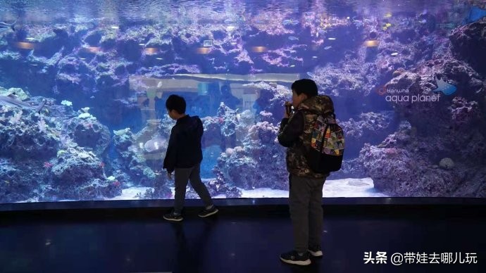 5天小长假国内飞海外,小长假出境游