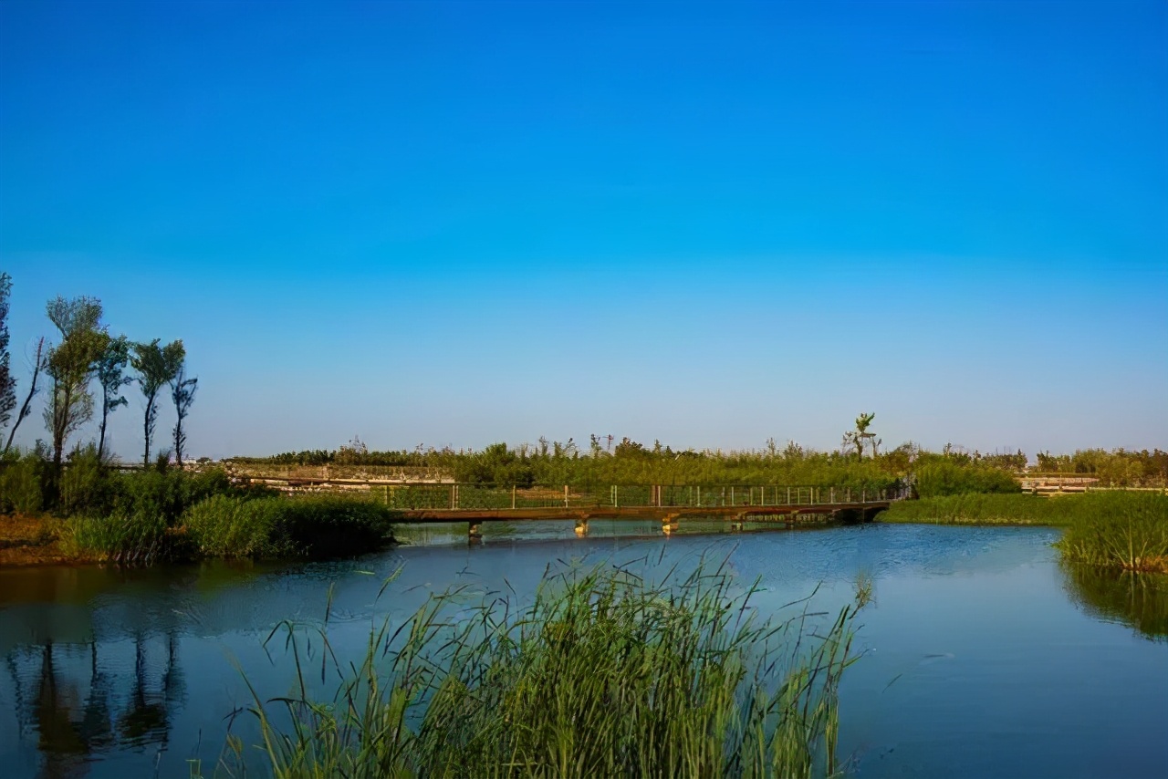 烟台旅游攻略蓬莱仙境,烟台葡萄酒城游览