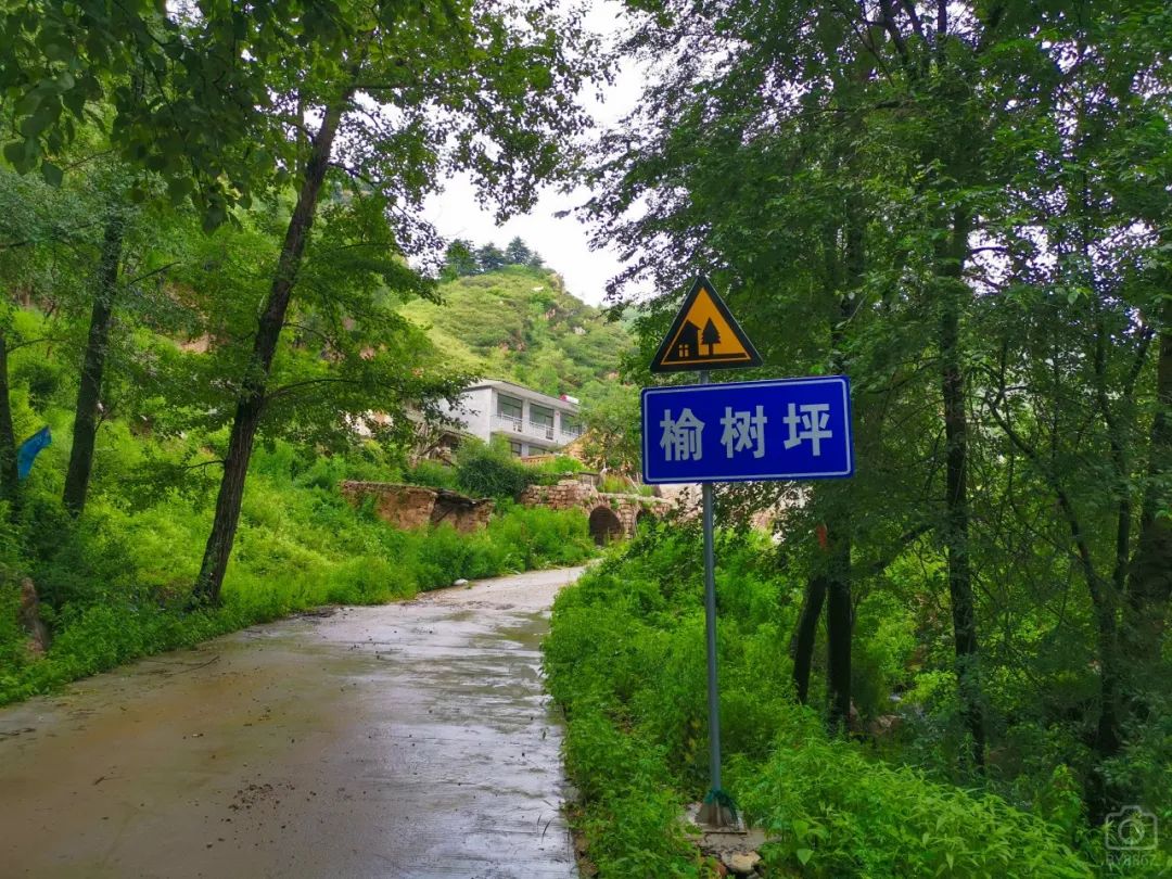 徒步穿越北驼梁完整版,穿越花海古道游记