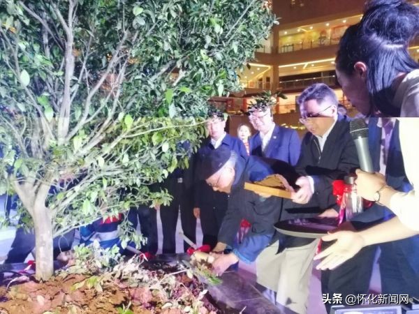 阿里山和日月潭简介,阿里山日月潭在同一位置吗