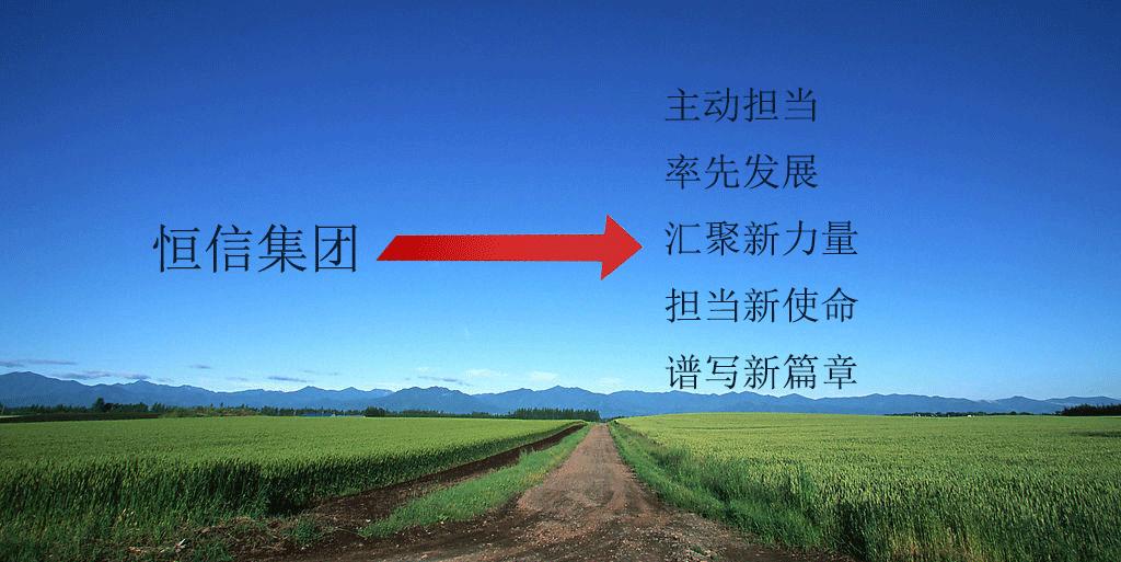 潍坊恒信集团荣誉,潍坊恒信集团经营现状