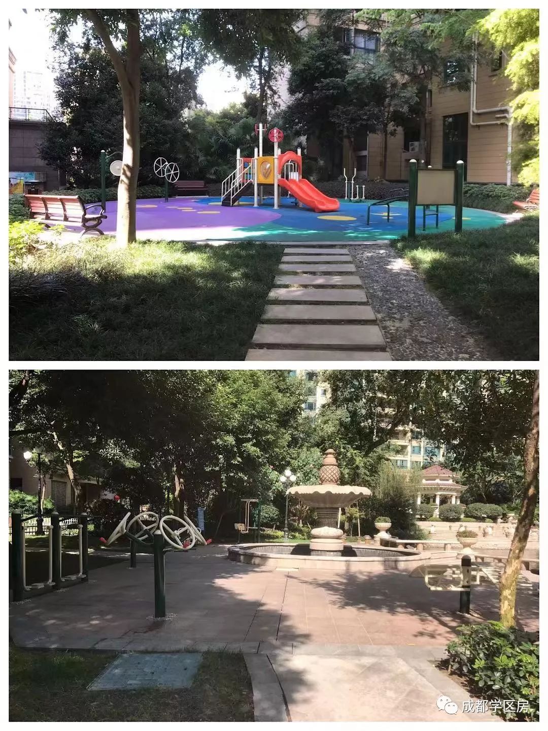 天府新区第五小学排名,天府新区a区学区房