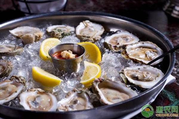 生蚝肉价格多少一斤,生蚝多少钱一斤最新价格
