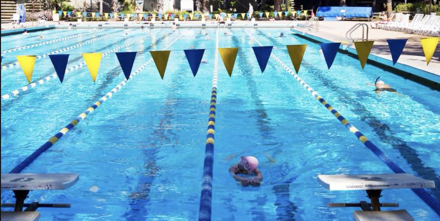 美国最强公立大学!届届承包奥运会全部金牌!UCLA,不说再见