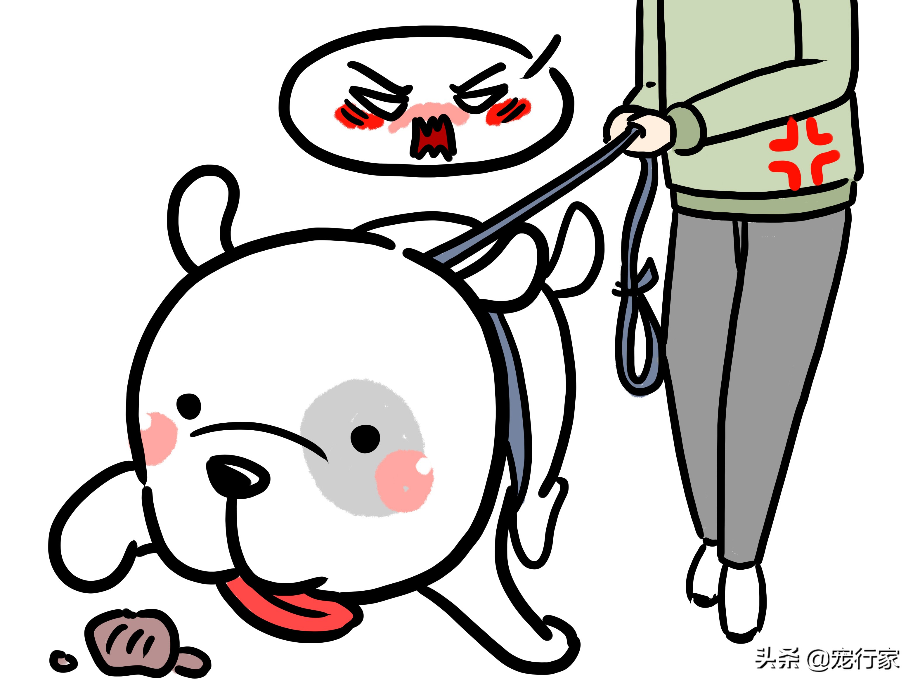 狗换粮太急拉稀了怎么办,狗的胃不消化