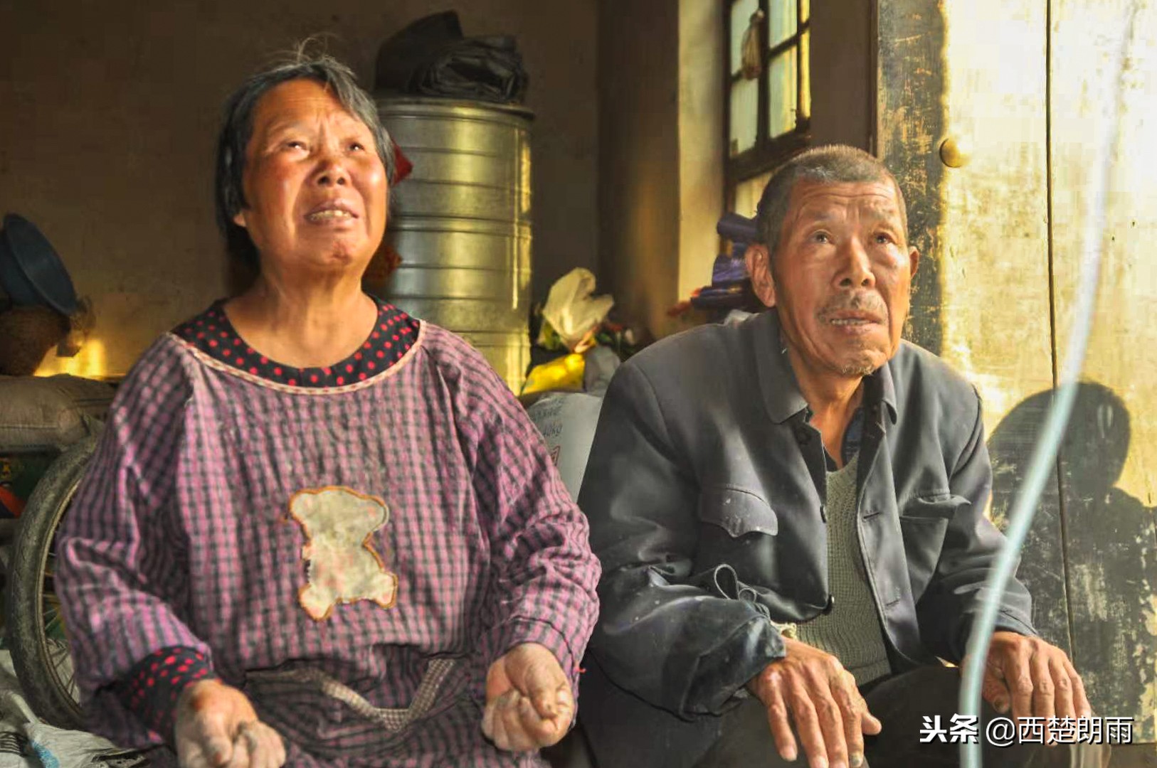 老人双手磨破捉虫想“救”血癌孙被儿子泪拒,跪求老天放过孩子