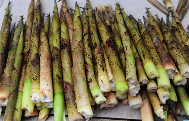 鲜竹笋怎么做好吃又简单家常做法,新鲜竹笋的做法大全家常菜窍门