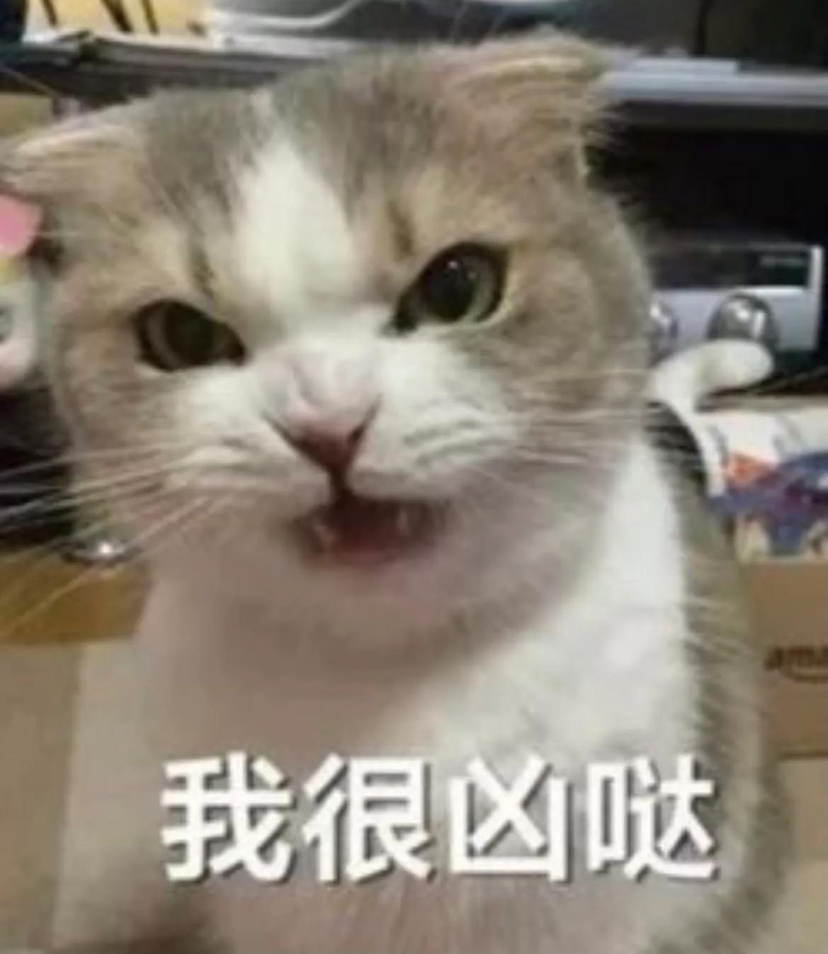 第一次当老师就当班主任怎么办,新手教师怎样当班主任