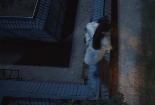 十部最恶心的国产剧推荐,最奇葩的国产剧推荐一下