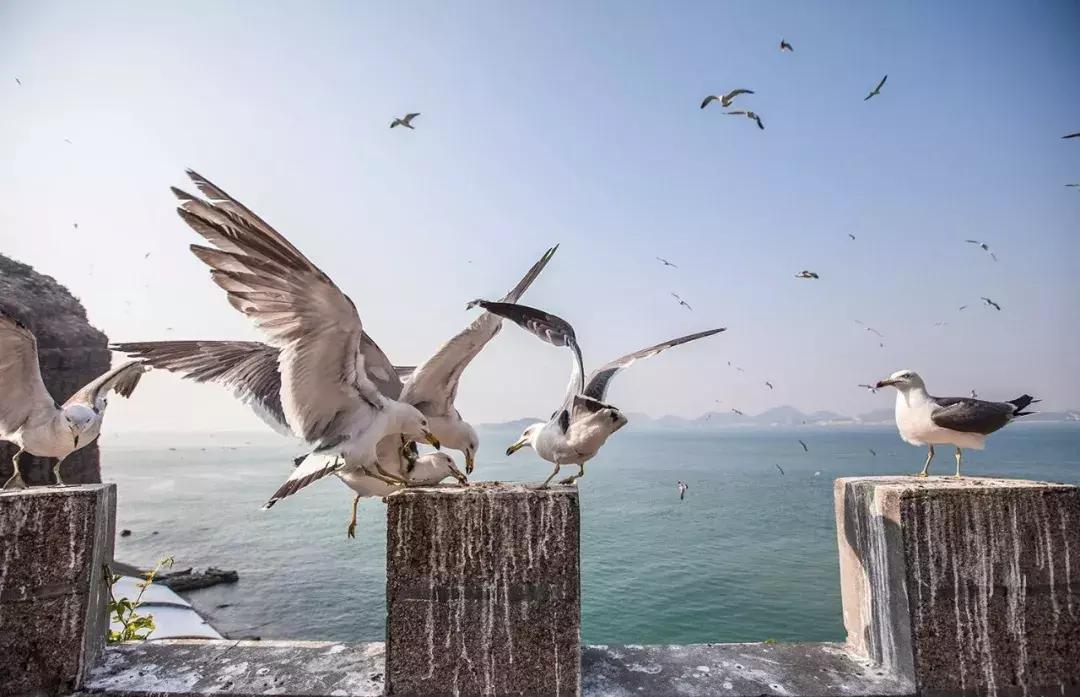 国内超美的小众海岛,国内海岛小众旅游