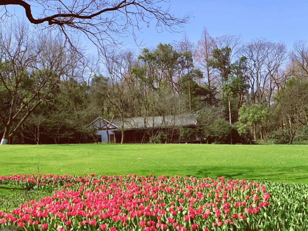 杭州房价四连跌的真相是什么,最近一年杭州房价跌了吗
