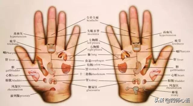 手上的健康秘密,手的颜色能看出健康的问题吗