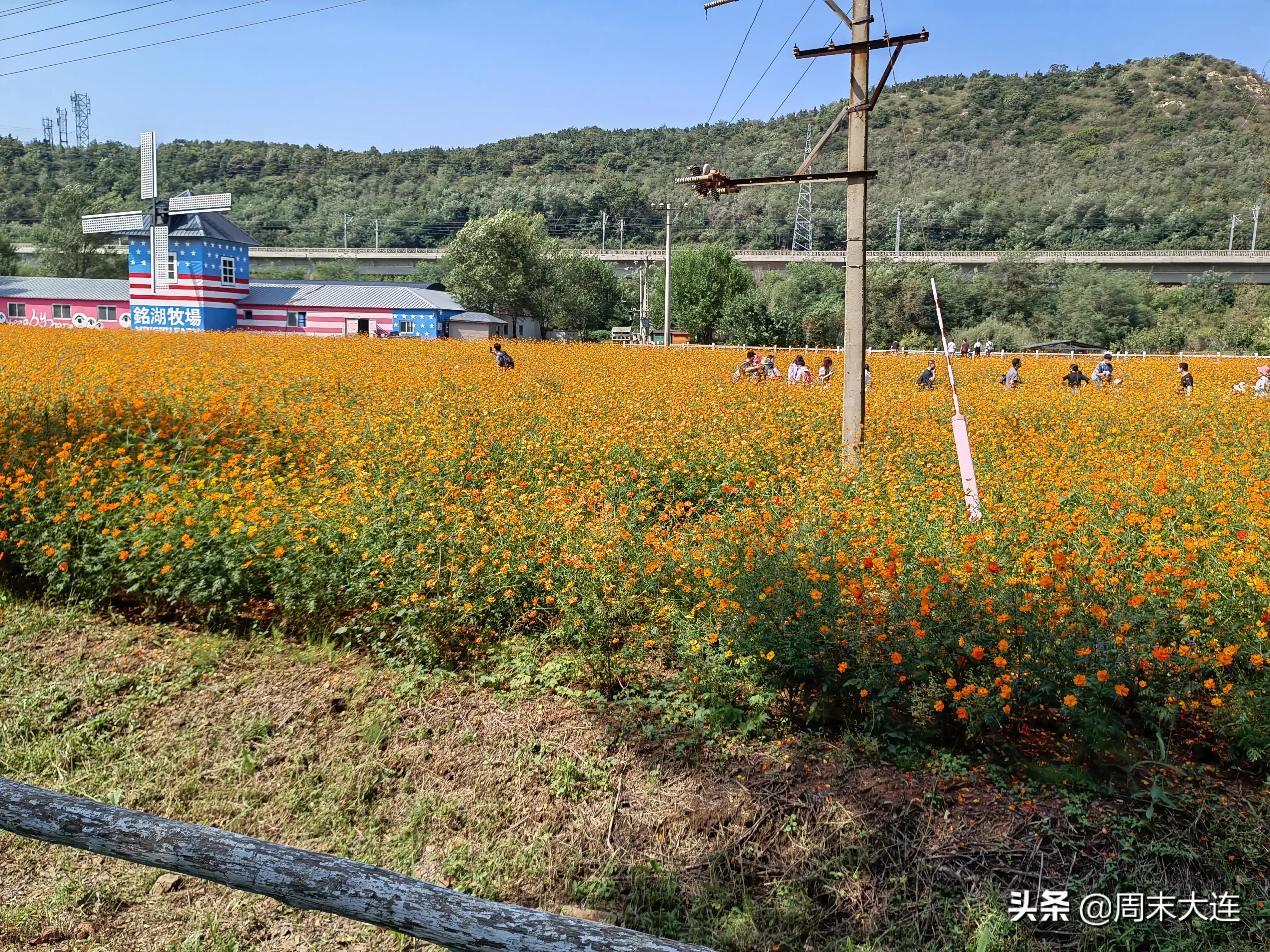 铭湖牧场是哪,铭湖牧场简介