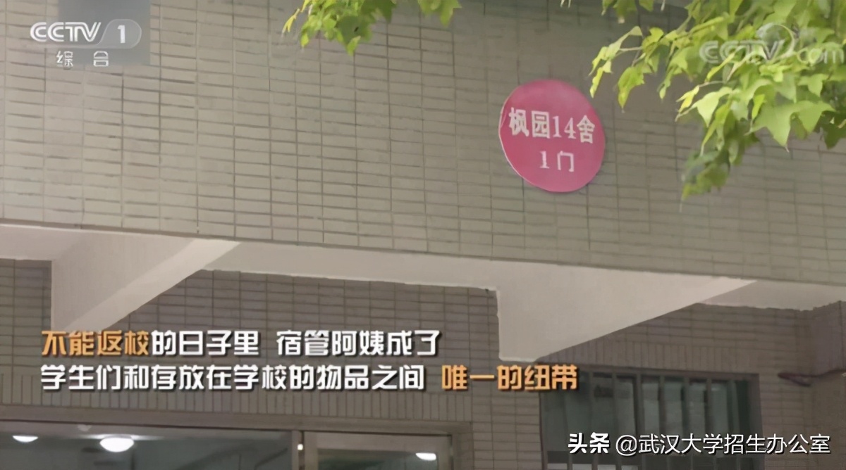 中央电视台13套在线回看武汉大学,中央电视台有直播武汉大学的吗