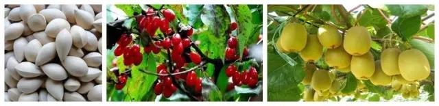 浙江各地市误解,你以为的临安vs实际上的临安