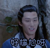 不知知网的翟天临原视频,不知知网的翟天临