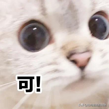 学会这些等于整容+修图！泪沟、眼袋、双下巴的超简单自救方案