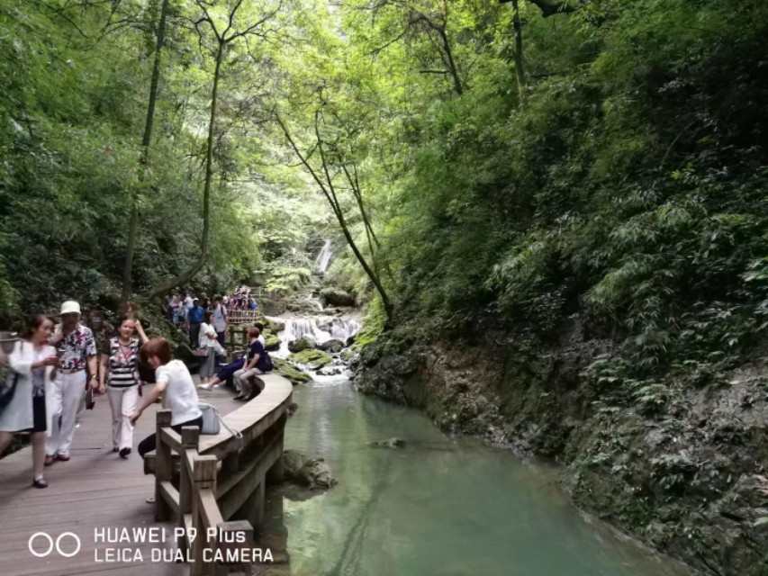 重庆黑山谷避暑适合吗,重庆避暑7天黑山谷