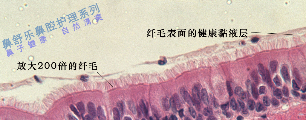 过敏性鼻炎可以彻底根治吗,过敏性鼻炎动手术能根治吗