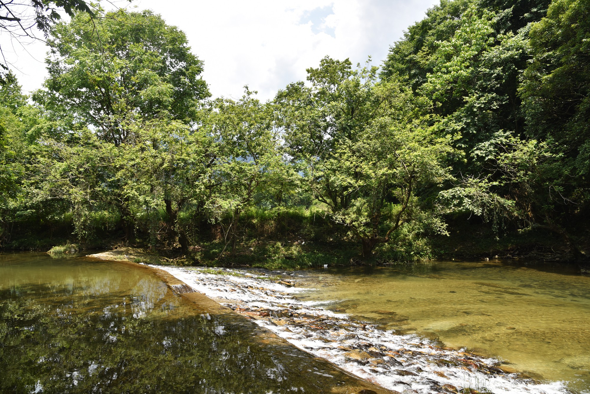 景德镇近代瓷器发展,千年瓷都景德镇有哪些瓷器
